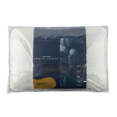 Travesseiro fresh sense 60x40x15 - sleep complements, 060x040, Branco