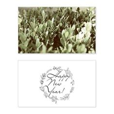 Sunshine Leaves Plant Picture Nature New Year Festival Cartão de felicitações Bless Message Present