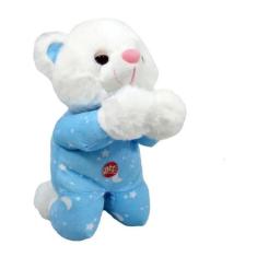 Urso Pelúcia Reza Pai Nosso Azul 22 C m Altura - Fizzy Toys