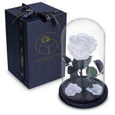 Rosa Encantada Eterna Preservada Box Luxo na Cúpula de Vidro