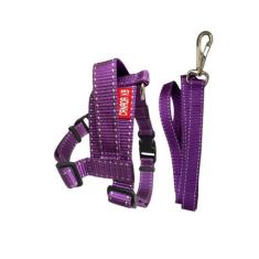 Conjunto Peitoral Colorido com Guia para Cachorro Cores Variadas - Can