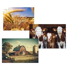 Kit 3 Quebra-cabeças Cognitivos Vida no Campo de 90 peças