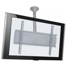 Sky pro P Suporte de Teto para TV LCD/Plasma/LED de 32 a 65 (Ajuste de altura de 500mm a 750mm