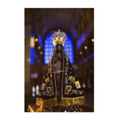 Quebra-cabeça Cognitivo Rainha Aparecida 300 peças - Coleção TEA, Colo