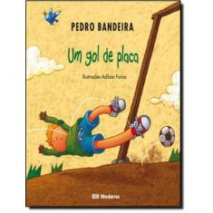 Livro - Um gol de placa