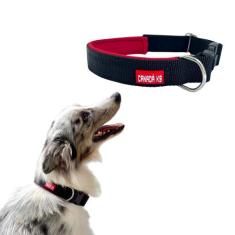 Coleira com Trava de Segurança para Cachorro - Tamanho P - Canadá K9 A