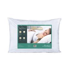 Travesseiro Silk Touch 50X70cm Altenburg - Branco