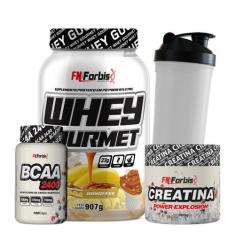 Kit Whey Protein Gourmet + Creatina 300g + BCAA 100 cáps + Coqueteleir