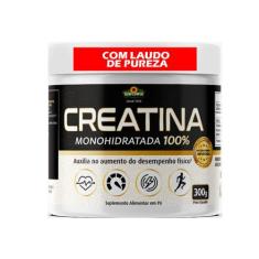 Creatina Monohidratada 100% Matéria Prima Importada Com Laudo 300g - S