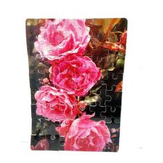 Kit 6 Quebra-Cabeças Cognitivos - Rosas 40 Peças - Reidopendrive