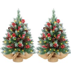 Árvore de Natal REGTEB Snow Flocked Prelit 60 cm com luzes x2