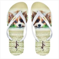 Chinelo Pet Feminino Cachorrinha Magicc Bolsas-Feminino