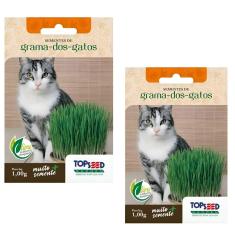 Sementes De Grama Dos Gatos 1000 Sementes
