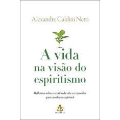 Livro - A vida na visão do espiritismo
