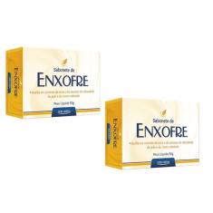 Kit 2 Sabonete De Enxofre Antiacne 90g - Arte Nativa