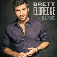 Illinois [Disco de Vinil]
