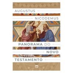 Panorama Do Novo Testamento