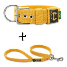 Coleira Cachorro Grande Pit Bull + Guia 80cm (amarelo) - Amorosso, GG,