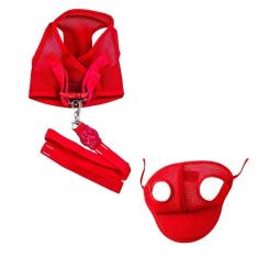 Kit boné e colete peitoral aerado com guia vermelho eg