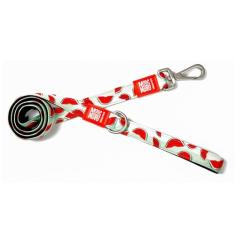 Coleira clássica para cães Max & Molly, alça de aderência confortável, tecido de neoprene durável e forte, ferragens prateadas escovadas, gancho de encaixe fácil de fixar, anel em D superior para