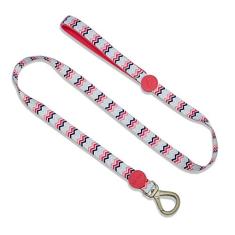 Guia para cachorros | WAVE