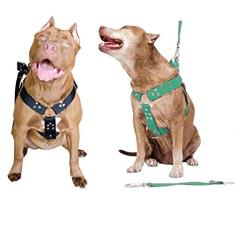 Peitoral Cachorro com Guia e Adaptador serve Pit Bull Labrador