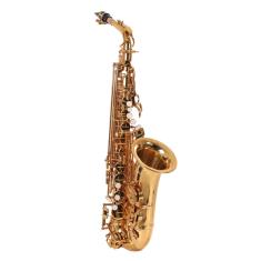 Saxofone Alto Laqueado em Eb - PRO FIRE ZELMER