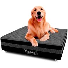 Cama Box Pet Bordado Em Matelassê Com Lençol Impermeável Branco Para Cachorros e Gatos 100x100x24cm - Caminha Pet - Bf Colchões