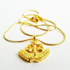 Colar Cordão Minha Nutricionista Nutriçao Folheado Ouro 18k - Milena F