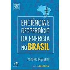 Livro - Eficiência E Desperdício Da Energia No Brasil