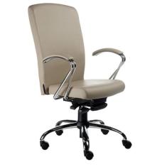 Cadeira Presidente Luxuosa Com Braços Fixos Linha Alpha Bege - Design