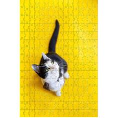 Kit 2 Quebra-Cabeças Cognitivos Gatos 40 Peças - Reidopendrive