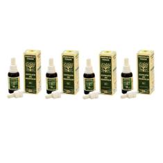 Própolis Verde Extrato De Própolis Apis Flora 30ml Kit C/4