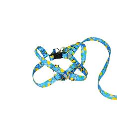 Conjunto Peitoral Ajustável RBPet com Guia - Cães de Micro Porte