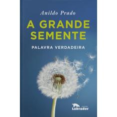 Livro - A grande semente