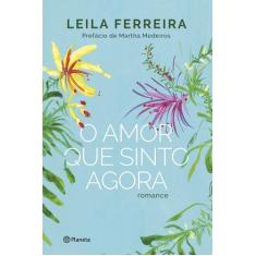 Livro - O amor que sinto agora