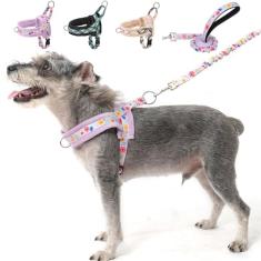 BEAUTYZOO Conjunto de coleira e coleira para cães pequenos, sem puxão, com alça à prova de fuga e fácil de caminhar, peitoral leve de inverno ajustável para meninas e meninos de 10 a 15 kg, roxo M