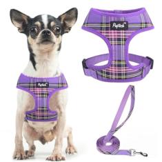 PUPTECK Conjunto de coleira e coleira para cães de malha macia para animais de estimação, filhotes, gatos, colete acolchoado confortável, sem puxão, roxo, PP