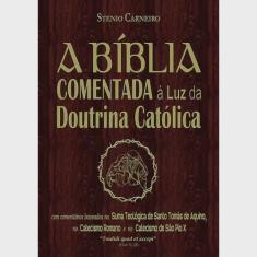 A bíblia comentada à luz da doutrina católica