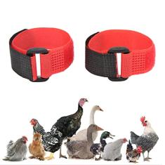 Coleira de Galo para Parar de Cantar, Coleira de Corvo de Galo 2 Pacotes Sem Ruído de Corvo Cinto de Pescoço Cinto de Pescoço de Frango Coleira de Galo Anti-corvo para Galos Galo