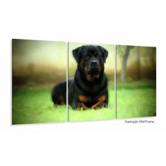 Quadros Decorativos Cachorro Rottweile 3 Peças 120x60 em tec