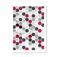 Arte Maníacos Quadro Decorativo Favo Vermelho - 23x16,25cm (Moldura em laca branca)