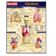 Resumão Vísceras - Barros, Fischer & Associados L