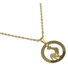 Colar Minha Profissão Publicidade Propaganda Folheado 18k - Milena Fol