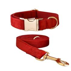 Conjunto de coleira e coleira de veludo macio com fivela de metal resistente - Coleiras duráveis ajustáveis para animais de estimação com trelas para cães pequenos, médios e grandes - Confortável e