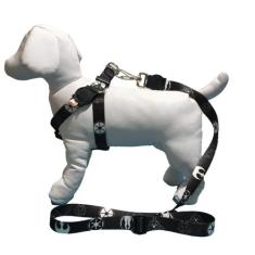 Coleira peitoral para cachorro com guia modelo americano - Facepet, IN