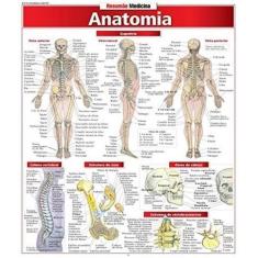 Resumao Medicina  - Anatomia Sortido, Sortido