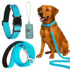 Daizzy Gear Conjunto de coleira, coleira e bolsa refletiva para cães - Coleira durável de 1,5 m para cães pequenos, médios e grandes - mão macia com conforto acolchoado para caminhar (conjunto de 4