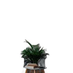 Kit 4 Quadros Fotografias Verdes 45X34Cm