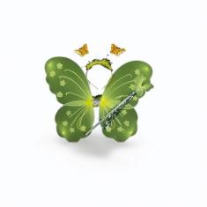 Kit Fantasia Asa de Borboleta Varinha Carnaval Verde